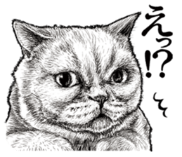 Drawing a merci cat sticker #12874991