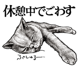 Drawing a merci cat sticker #12874992