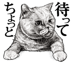 Drawing a merci cat sticker #12874993