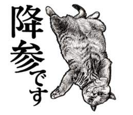 Drawing a merci cat sticker #12874994