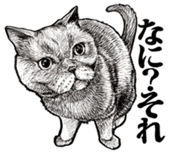 Drawing a merci cat sticker #12874996