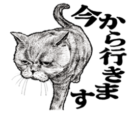 Drawing a merci cat sticker #12874999