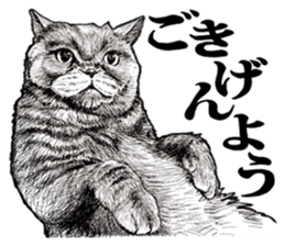 Drawing a merci cat sticker #12875000