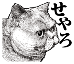 Drawing a merci cat sticker #12875002