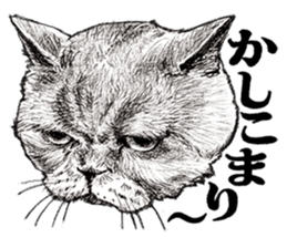 Drawing a merci cat sticker #12875007