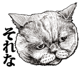 Drawing a merci cat sticker #12875008