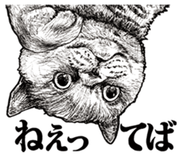 Drawing a merci cat sticker #12875011