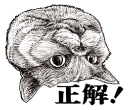 Drawing a merci cat sticker #12875015