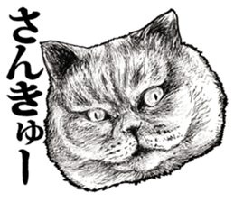 Drawing a merci cat sticker #12875016