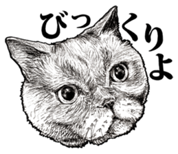 Drawing a merci cat sticker #12875017