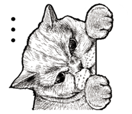 Drawing a merci cat sticker #12875019