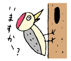 Various birds sticker #12875125