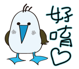 Blue-footed birds sticker #12877191