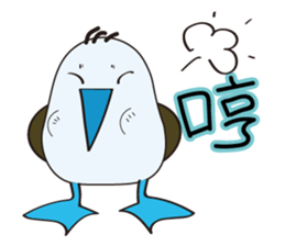 Blue-footed birds sticker #12877194