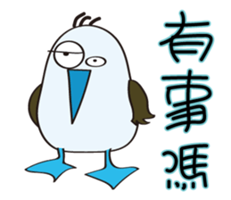 Blue-footed birds sticker #12877197