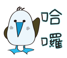 Blue-footed birds sticker #12877198