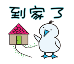 Blue-footed birds sticker #12877211