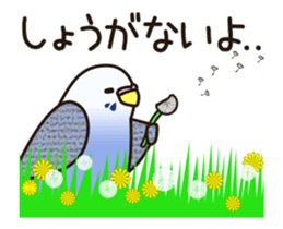 budgerigar ![Ver5](move/response No.1) sticker #12877448