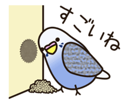 budgerigar ![Ver5](move/response No.1) sticker #12877449