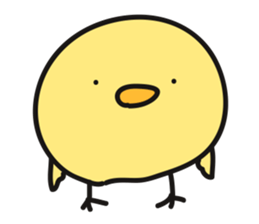 CHIBI-PIYO of the chick sticker #12878504