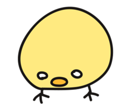 CHIBI-PIYO of the chick sticker #12878516