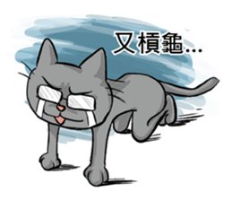 We are family~Meow sticker #12878878