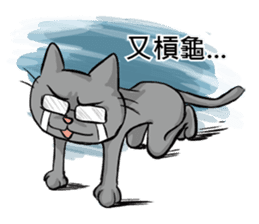 We are family~Meow sticker #12878878