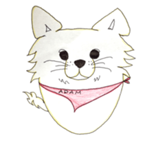 akiki