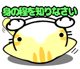 Impertinent babycat sticker #12880585