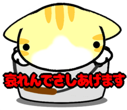 Impertinent babycat sticker #12880587