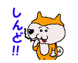Shiba inu MOMO chan the third as well 31 sticker #12881188