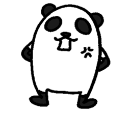 Panda are wearing sticker #12881843