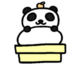 Panda are wearing sticker #12881866