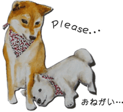 Shiba Inu Sisters - 2 sticker #12882734