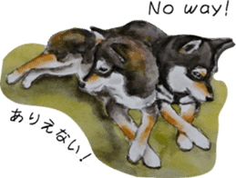 Shiba Inu Sisters - 2 sticker #12882736