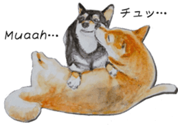 Shiba Inu Sisters - 2 sticker #12882737