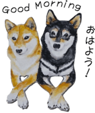Shiba Inu Sisters - 2 sticker #12882739