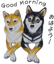 Shiba Inu Sisters - 2 sticker #12882739