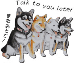 Shiba Inu Sisters - 2 sticker #12882741