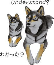 Shiba Inu Sisters - 2 sticker #12882742