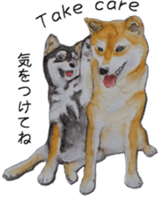 Shiba Inu Sisters - 2 sticker #12882743