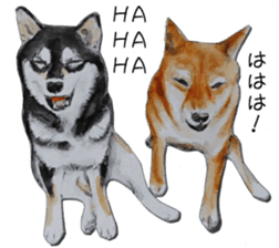 Shiba Inu Sisters - 2 sticker #12882744