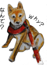 Shiba Inu Sisters - 2 sticker #12882754