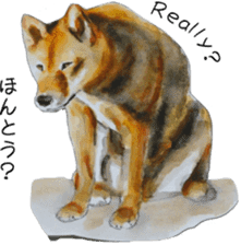 Shiba Inu Sisters - 2 sticker #12882756