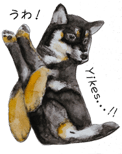 Shiba Inu Sisters - 2 sticker #12882762