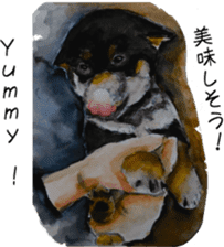 Shiba Inu Sisters - 2 sticker #12882763