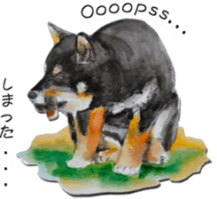 Shiba Inu Sisters - 2 sticker #12882764