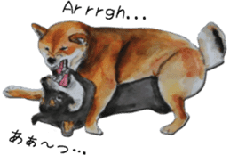 Shiba Inu Sisters - 2 sticker #12882765