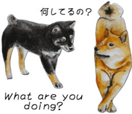 Shiba Inu Sisters - 2 sticker #12882766