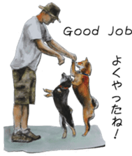 Shiba Inu Sisters - 2 sticker #12882772